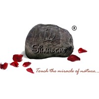 Shree Nakoda Tiles Pvt. Ltd. Logo