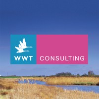 WWT Consulting Logo
