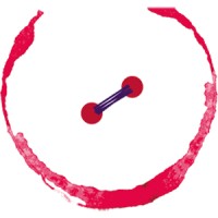 Sarti del Gusto Logo