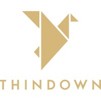 Thindown Logo