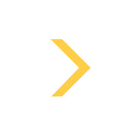 AltruNext Logo