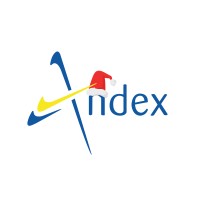 Andex International Logo