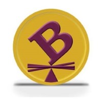 Borshoff Consulting, LLC Logo