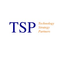 Technology Strategy Partners Logo