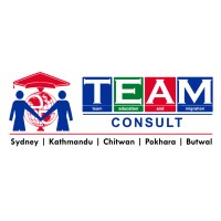 Team Consult Logo