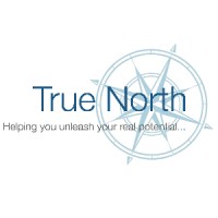 TrueNorthConsulting Logo