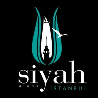 Siyah İstanbul Ajans Logo