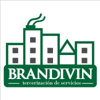 Brandivin Logo
