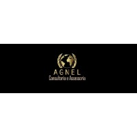 AGNEL Consultoria e Assessoria Logo