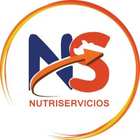 NS Group Logo