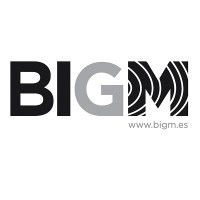 BIGM CIVIL ENGINEERS, S.L. Logo