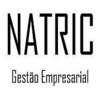 NATRIC Gestão Empresarial Logo