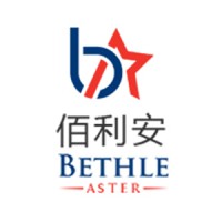 Bethle Aster Global Investment Ltd. Logo