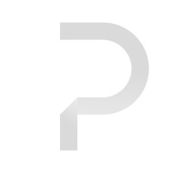 PayWithChip Inc. Logo