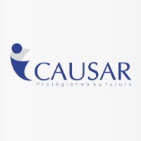 Causar Consultores S.A. Logo