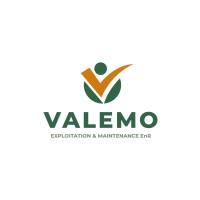 VALEMO Logo