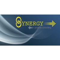 Synergy Projects Consulting (Pty) Ltd Logo