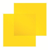Fanny Chaussures Logo