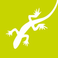 The Lizard Group Logo