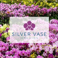 Silver Vase Logo