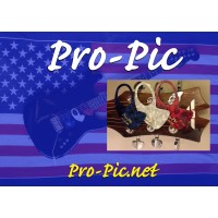 Pro-Pic the Pros Pick Logo