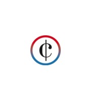 DiSellence CRM and Digital Consulting GmbH Logo