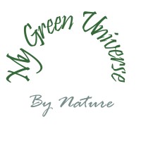 My Green Universe / FIRST T&B BV Logo