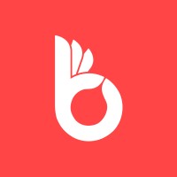 Bonanza Logo