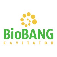 BioBANG Logo