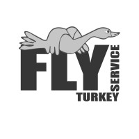 FLY SERVICE LTD Logo