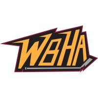 Withrow Ball Hockey Academy Logo