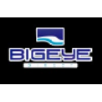 Bigeye Direct Inc. Logo
