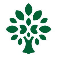 natural mojo Logo