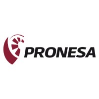 Propulsión Neumática SA de CV Logo