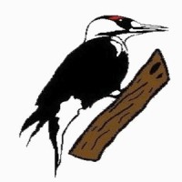 Forest Creek Golf Club Logo