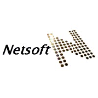 Netsoft Logo