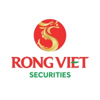 Viet Dragon Securities Logo