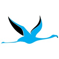 Flamingo HR Solutions Logo