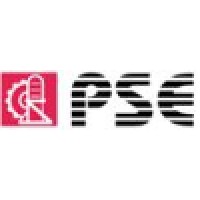 Process System Engineers (India) Pvt. Ltd. Logo