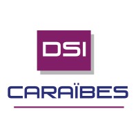 DSI CARAÏBES Logo