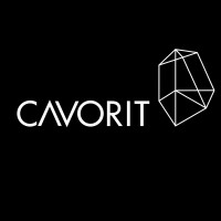 CAVORIT Consulting GmbH Logo