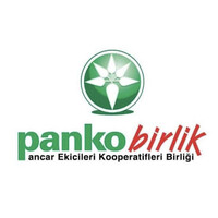 PANKOBIRLIK Logo