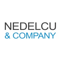 Nedelcu & Company - Executive Search & Leadership Advisory Logo