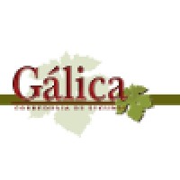 GALICA CORREDURIA Y ASESORES Logo