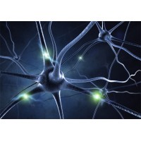 Deep Learning Partnership Logo