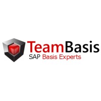 TeamBasis Logo