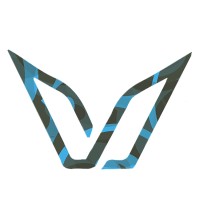 Visual Ventures Logo