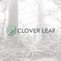 Clover Leaf Solutions Inc. Logo