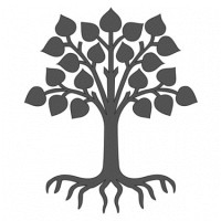 Evolved HR Limited Logo