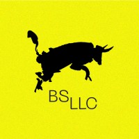 BS LLC - Strategy, Branding, & Marketing Logo